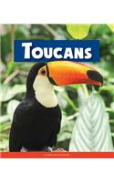 Toucans