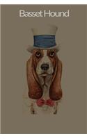 Basset Hound
