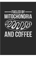 Fueled By Mitochondria
