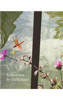 Reflections
