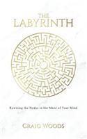 The Labyrinth: Rewiring the Nodes in the Maze of your Mind