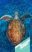 Wildlife Photographer of the Year: Book of Postcards