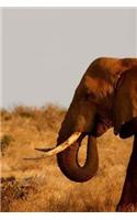Elephant Notebook