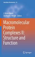 Macromolecular Protein Complexes II: Structure and Function