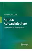 Cardiac Cytoarchitecture