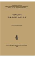 Induktion Und Morphogenese