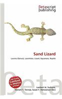 Sand Lizard: (English)