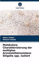 Molekulare Charakterisierung der multiplen Arzneimittelresistenz Shigella spp. isoliert