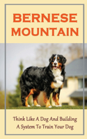 Bernese Mountain