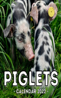 Piglets Calendar 2022: 16-Month Calendar, Cute Gift Idea For Baby Pig Lovers Men & Women