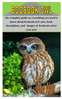 Boobook Owl: The complete guide no everything you need to know about boobook owl: care, food, description, and danger of boobook owl to your pets