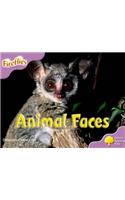 Oxford Reading Tree: Level 1+: More Fireflies A: Animal Faces: (Oxford Reading Tree)