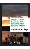 First Steps in Geography. Brooks and Brook Basins