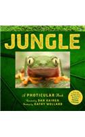 Jungle