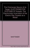 The Cholinergic Neuron & its Target: ELECTROMOTOR SYSTEMS Of Torpedo