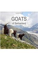 Goats of Switzerland 2017
