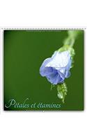 Petales Et Etamines 2018