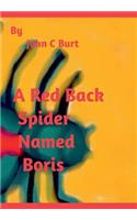 A Red Back Spider Named Boris.