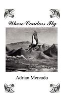 Where Condors Fly