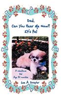 Dad, Can You Hear Me Now? It's Pal: (English)
