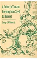 Guide to Tomato Growing from Seed to Harvest