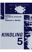 Kindling 5