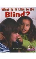 What Is It Like to Be Blind?