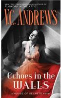 Echoes in the Walls: (2 House of Secrets)