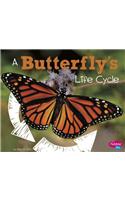 Butterfly's Life Cycle