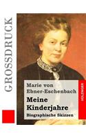 Meine Kinderjahre (Großdruck): Biographische Skizzen