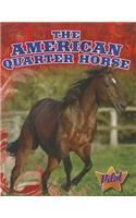The American Quarter Horse