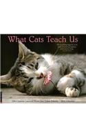 What Cats Teach Us Calendar