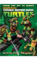 Teenage Mutant Ninja Turtles Animated Volume 2: Never Say Xever / The Gauntlet