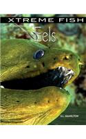 Eels: (Xtreme Fish)