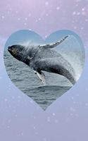 I Love Whales - Notebook For Kids