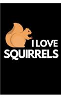 I Love Squirrels: Funny Squirrel Lover Notebook/Journal (6" X 9")