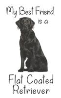 My best Friend is a Flat Coated Retriever