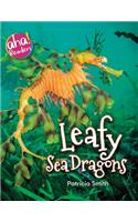 Leafy Sea Dragons