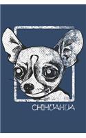 Life of my Chihuahua