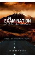 An Examination of the Revelation