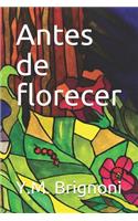 Antes de florecer: Cuentos para adolescentes y adultos