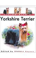 Living with a Yorkshire Terrier