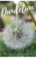 Dandelion