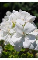 Beautiful White Geranium Flowers Growing in a Colorado Garden Journal: Take Notes, Write Down Memories in this 150 Page Lined Journal