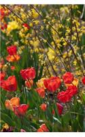Springtime Flowers - Lined Notebook with Margins: 101 Pages, Medium Ruled, 6 x 9 Journal, Soft Cover