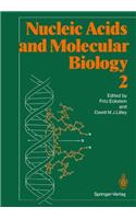 Nucleic Acids and Molecular Biology