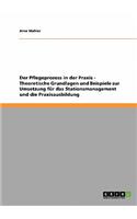 Der Pflegeprozess in der Praxis. Theoretische Grundlagen und Beispiele zur Umsetzung für das Stationsmanagement und die Praxisausbildung