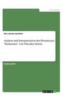 Analyse und Interpretation des Prosatextes "Immensee" von Theodor Storm