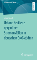 Urbane Resilienz gegenüber Stromausfällen in deutschen Großstädten: (Stadtforschung aktuell)