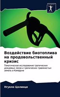 Воздействие биотоплива на продовольстве&